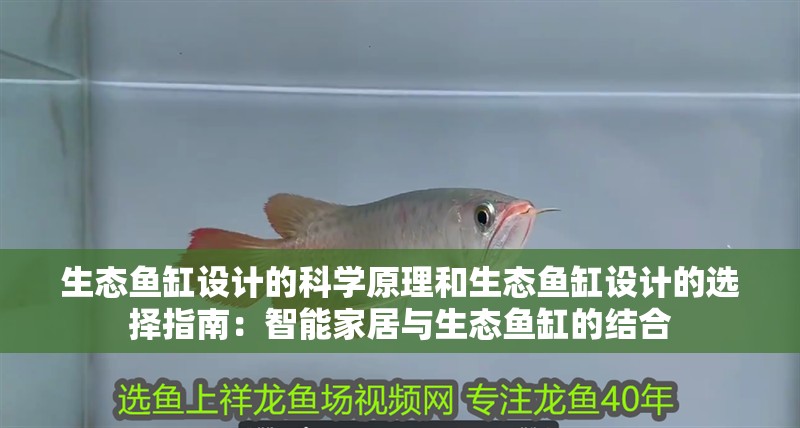 生態魚缸設計的科學原理和生態魚缸設計的選擇指南：智能家居與生態魚缸的結合