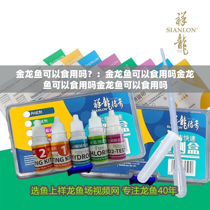 金龍魚可以食用嗎？：金龍魚可以食用嗎金龍魚可以食用嗎金龍魚可以食用嗎