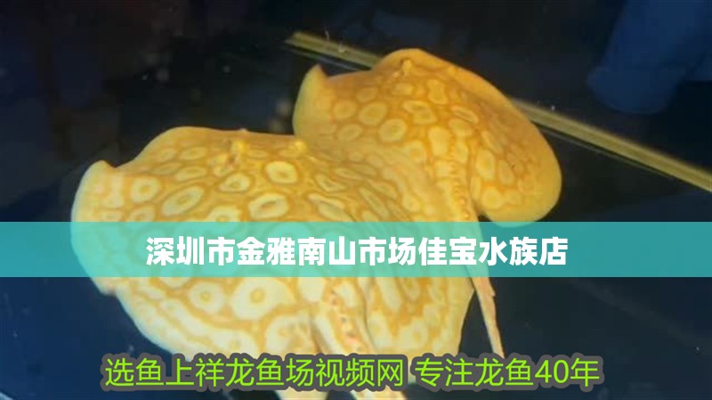 深圳市金雅南山市場佳寶水族店 深圳市金雅南山市場佳寶水族店 全國水族館企業名錄