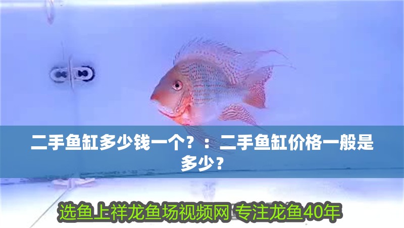 二手魚缸多少錢一個(gè)？：二手魚缸價(jià)格一般是多少？