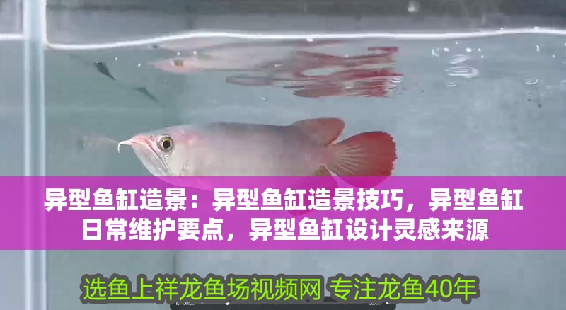異型魚缸造景：異型魚缸造景技巧，異型魚缸日常維護要點，異型魚缸設計靈感來源