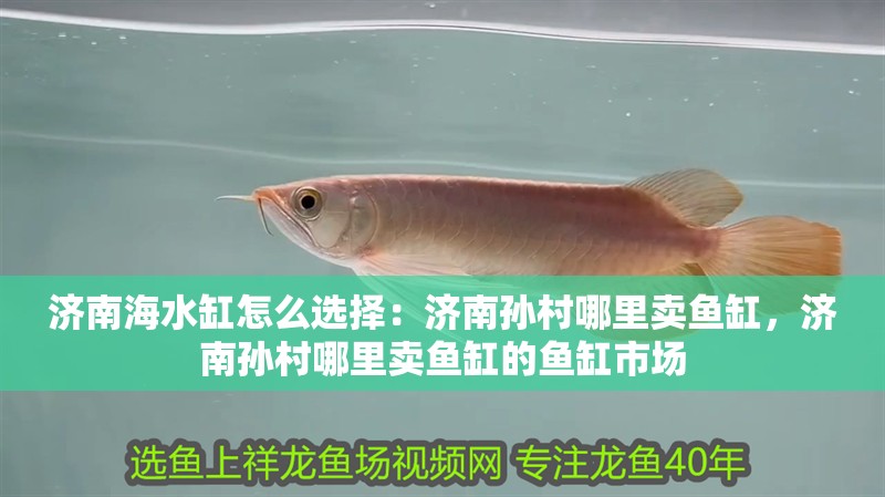 濟南海水缸怎么選擇：濟南孫村哪里賣魚缸，濟南孫村哪里賣魚缸的魚缸市場