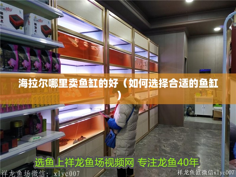 海拉爾哪里賣魚缸的好（如何選擇合適的魚缸）