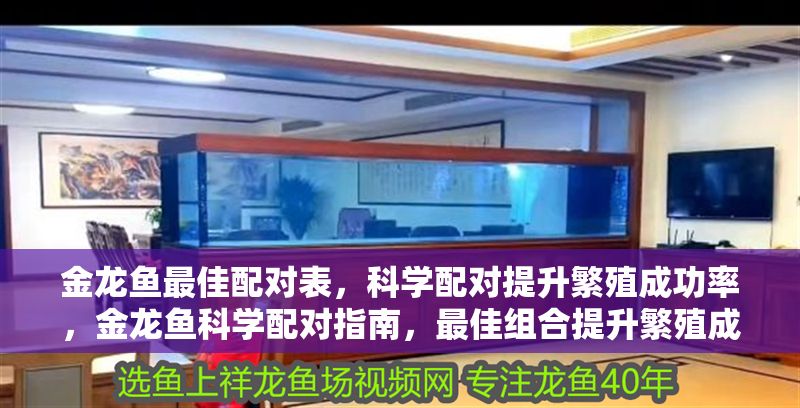 金龍魚最佳配對表，科學配對提升繁殖成功率，金龍魚科學配對指南，最佳組合提升繁殖成功率 金龍魚最佳配對表，科學配對提升繁殖成功率，金龍魚科學配對指南，最佳組合提升繁殖成功率 龍魚百科 第1張
