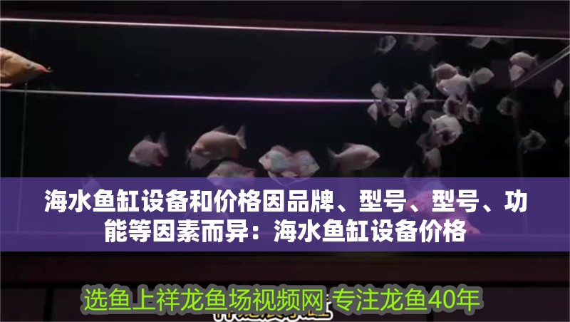 海水魚缸設備和價格因品牌、型號、型號、功能等因素而異：海水魚缸設備價格
