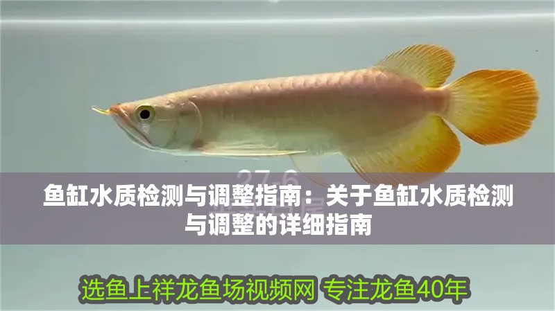 魚缸水質(zhì)檢測與調(diào)整指南：關(guān)于魚缸水質(zhì)檢測與調(diào)整的詳細指南