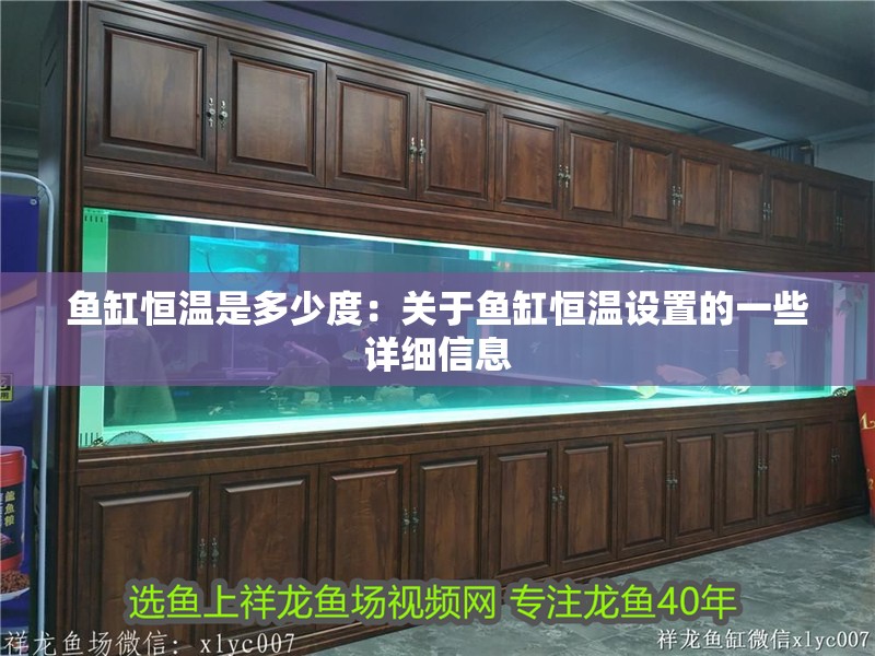 魚缸恒溫是多少度：關(guān)于魚缸恒溫設(shè)置的一些詳細信息