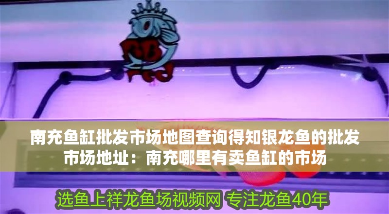 南充魚缸批發(fā)市場地圖查詢得知銀龍魚的批發(fā)市場地址：南充哪里有賣魚缸的市場