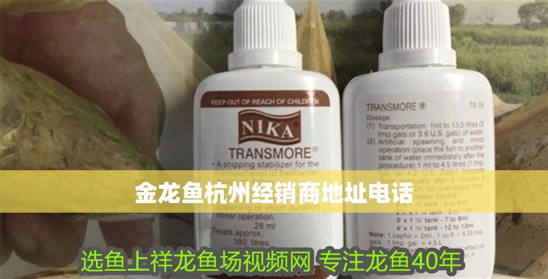 金龍魚杭州經銷商地址電話