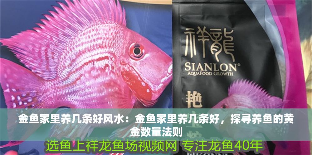 詳細(xì)閱讀:金魚家里養(yǎng)幾條好風(fēng)水:金魚家里養(yǎng)幾條好,探尋養(yǎng)魚的黃金數(shù)量法則 金魚家里養(yǎng)幾條好風(fēng)水:金魚家里養(yǎng)幾條好,探尋養(yǎng)魚的黃金數(shù)量法則