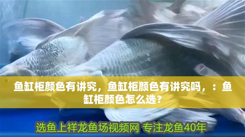 魚缸柜顏色有講究，魚缸柜顏色有講究嗎，：魚缸柜顏色怎么選？ 魚缸柜顏色有講究，魚缸柜顏色有講究嗎，：魚缸柜顏色怎么選？ 魚缸百科