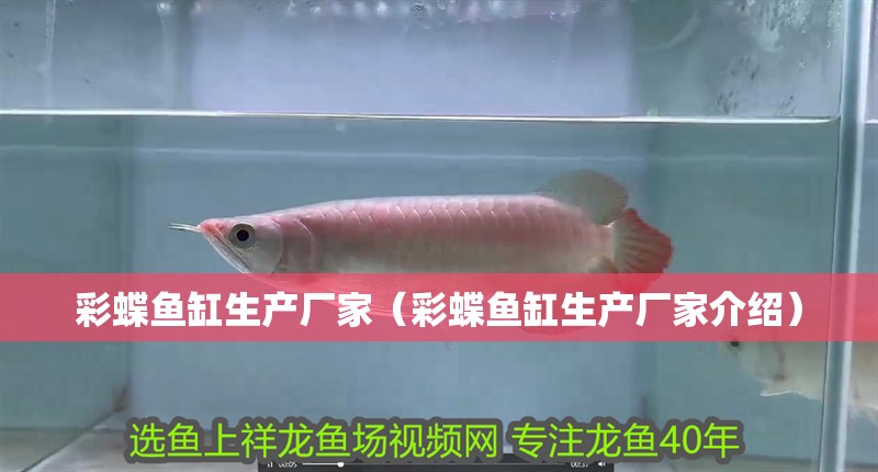 彩蝶魚(yú)缸生產(chǎn)廠家（彩蝶魚(yú)缸生產(chǎn)廠家介紹）