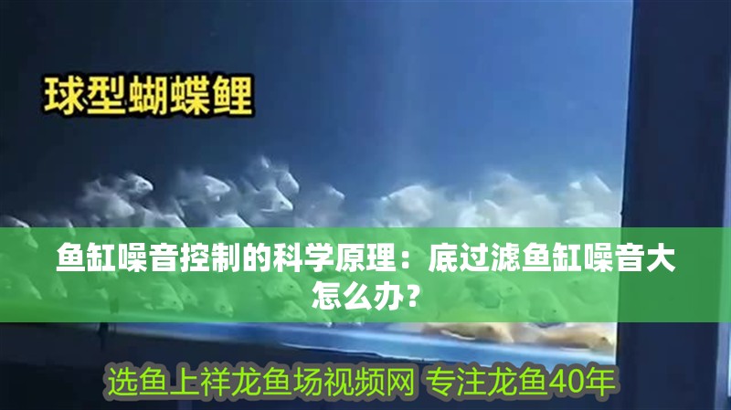 魚缸噪音控制的科學原理：底過濾魚缸噪音大怎么辦？