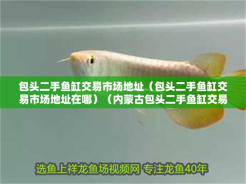 包頭二手魚缸交易市場地址（包頭二手魚缸交易市場地址在哪）（內蒙古包頭二手魚缸交易市場）
