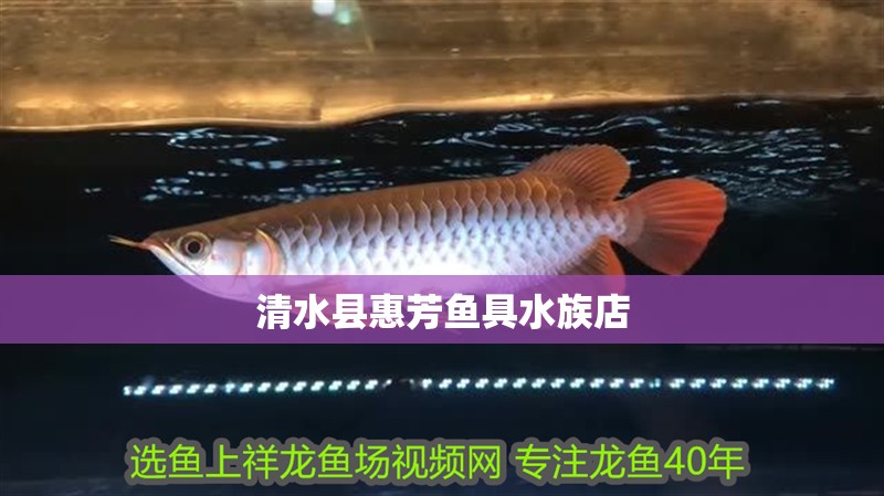 <strong><mark>清水</mark></strong>縣惠芳魚具水族店