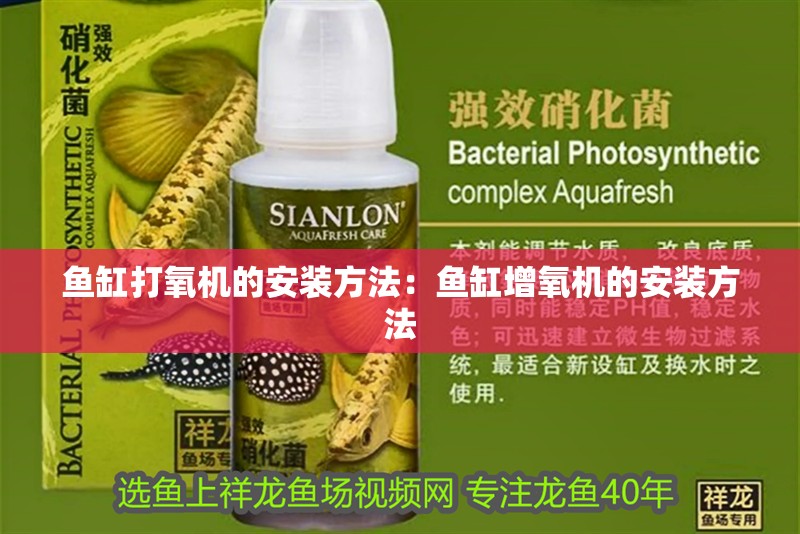 魚缸過濾器選購指南:自制魚缸過濾器魚缸上置過濾器對于養魚愛好者的必備知識 魚缸打氧機的安裝方法:魚缸增氧機的安裝方法 魚缸百科 魚缸打氧機的安裝方法:魚缸增氧機的安裝方法 魚缸打氧機的安裝方法:魚缸增氧機的安裝方法 魚缸百科