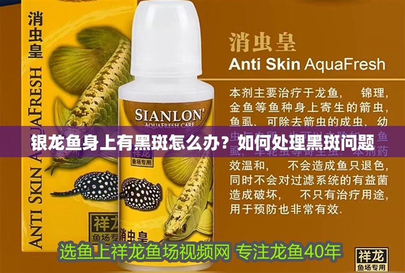 銀龍魚身上有黑斑怎么辦？如何處理黑斑問題 銀龍魚身上有黑斑怎么辦？如何處理黑斑問題 銀龍魚百科