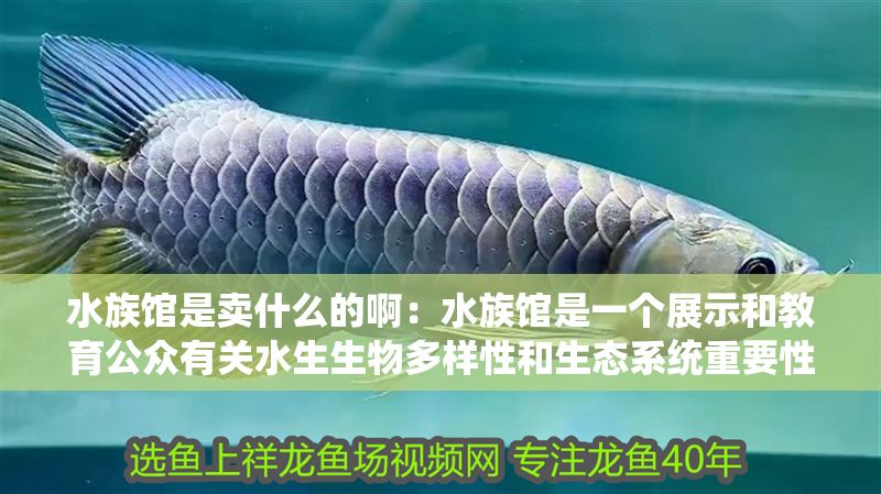 水族館是賣什么的啊：水族館是一個展示和教育公眾有關水生生物多樣性和生態系統重要性的場所