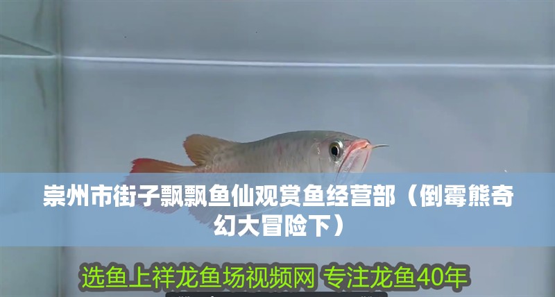 崇州市街子飄飄魚仙觀賞魚經營部（倒霉熊奇幻大冒險下） 崇州市街子飄飄魚仙觀賞魚經營部（倒霉熊奇幻大冒險下） 全國水族館企業名錄