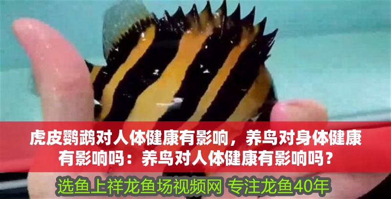 虎皮鸚鵡對(duì)人體健康有影響，養(yǎng)鳥對(duì)身體健康有影響嗎：養(yǎng)鳥對(duì)人體健康有影響嗎？