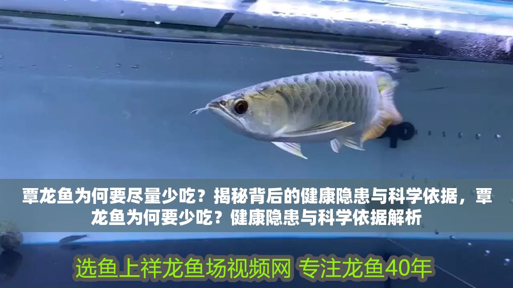 覃龍魚為何要盡量少吃？揭秘背后的健康隱患與科學依據，覃龍魚為何要少吃？健康隱患與科學依據解析