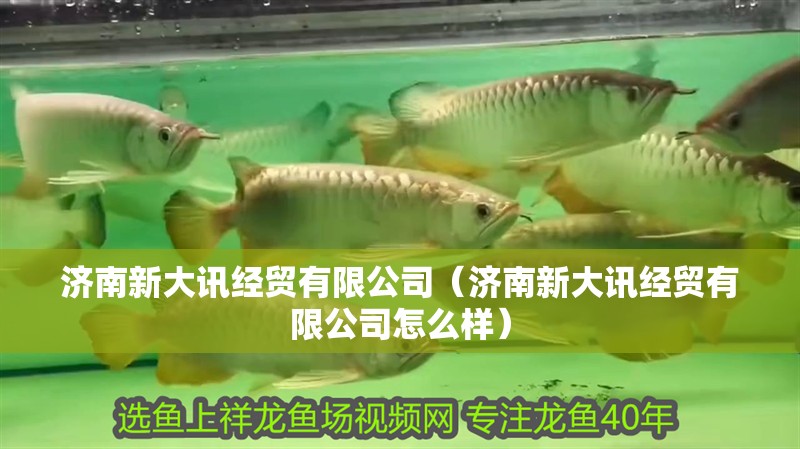 我的虎魚真菌感染了要怎么處理 濟南新大訊經貿有限公司(濟南新大訊經貿有限公司怎么樣) 全國水族館企業名錄 濟南新大訊經貿有限公司(濟南新大訊經貿有限公司怎么樣) 濟南新大訊經貿有限公司(濟南新大訊經貿有限公司怎么樣) 全國水族館企業名錄