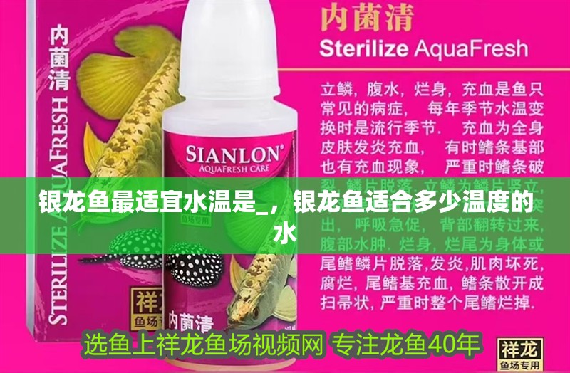 銀龍魚最適宜水溫是_，銀龍魚適合多少溫度的水