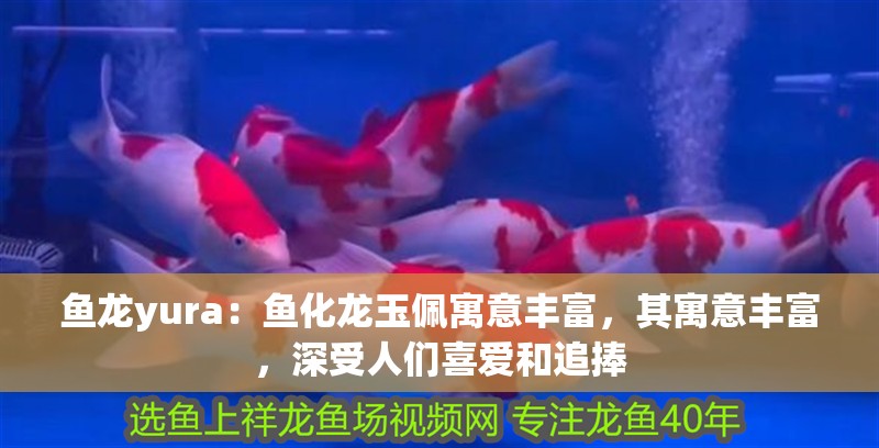 魚龍yura：魚化龍玉佩寓意豐富，其寓意豐富，深受人們喜愛和追捧