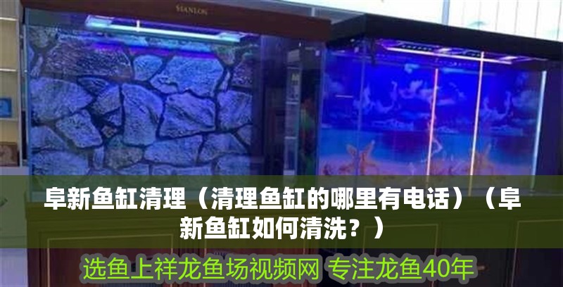 阜新魚缸清理（清理魚缸的哪里有電話）（阜新魚缸如何清洗？） 阜新魚缸清理（清理魚缸的哪里有電話）（阜新魚缸如何清洗？） 魚缸百科