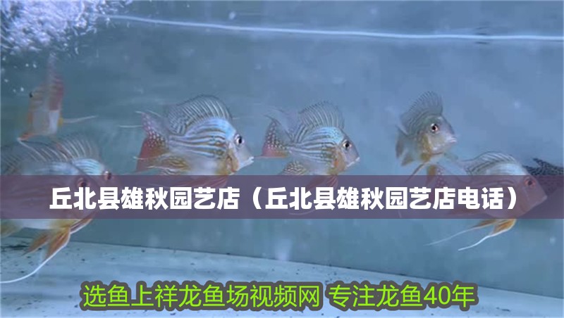 丘北縣雄秋園藝店（丘北縣雄秋園藝店電話）