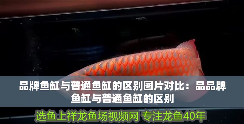 品牌魚(yú)缸與普通魚(yú)缸的區(qū)別圖片對(duì)比：品品牌魚(yú)缸與普通魚(yú)缸的區(qū)別
