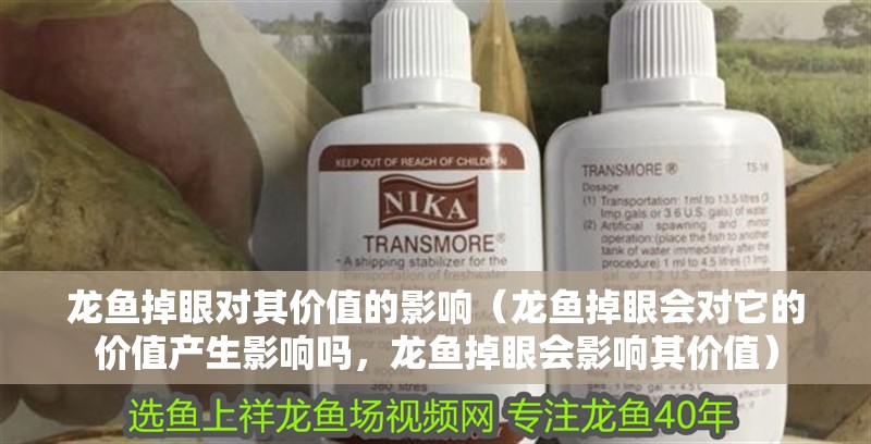 龍魚掉眼對其價值的影響（龍魚掉眼會對它的價值產(chǎn)生影響嗎，龍魚掉眼會影響其價值） 龍魚掉眼對其價值的影響（龍魚掉眼會對它的價值產(chǎn)生影響嗎，龍魚掉眼會影響其價值） 龍魚百科