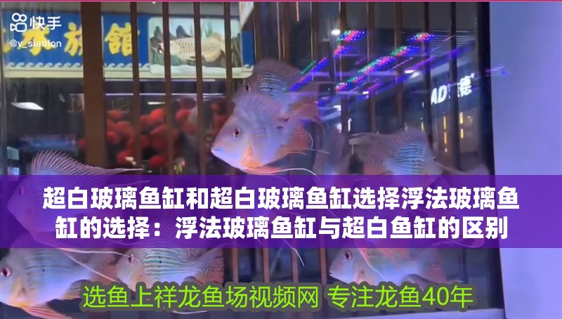 超白玻璃魚缸和超白玻璃魚缸選擇浮法玻璃魚缸的選擇：浮法玻璃魚缸與超白魚缸的區別