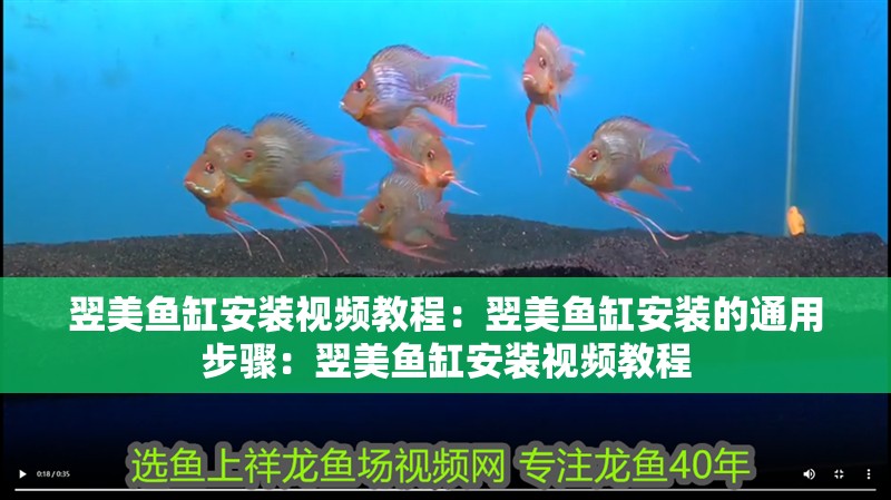 翌美魚缸安裝視頻教程：翌美魚缸安裝的通用步驟：翌美魚缸安裝視頻教程