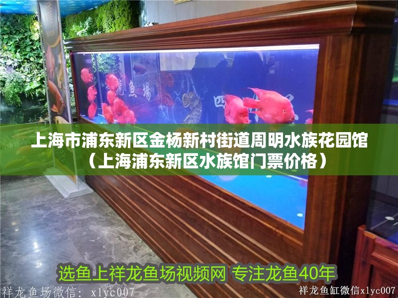 魚缸用增氧泵價格是多少:魚缸增氧機-xtrac增氧機-xtrac增氧機 上海市浦東新區金楊新村街道周明水族花園館(上海浦東新區水族館門票價格) 全國水族館企業名錄 上海市浦東新區金楊新村街道周明水族花園館(上海浦東新區水族館門票價格) 上海市浦東新區金楊新村街道周明水族花園館(上海浦東新區水族館門票價格) 全國水族館企業名錄