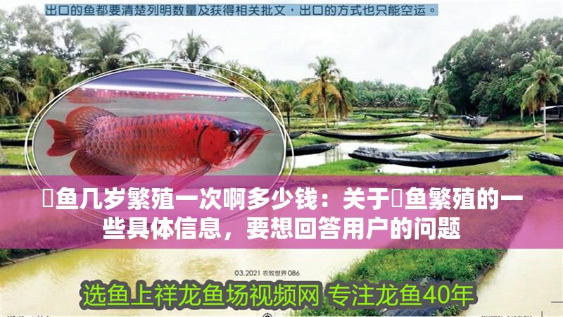 魟魚幾歲繁殖一次啊多少錢：關于魟魚繁殖的一些具體信息，要想回答用戶的問題