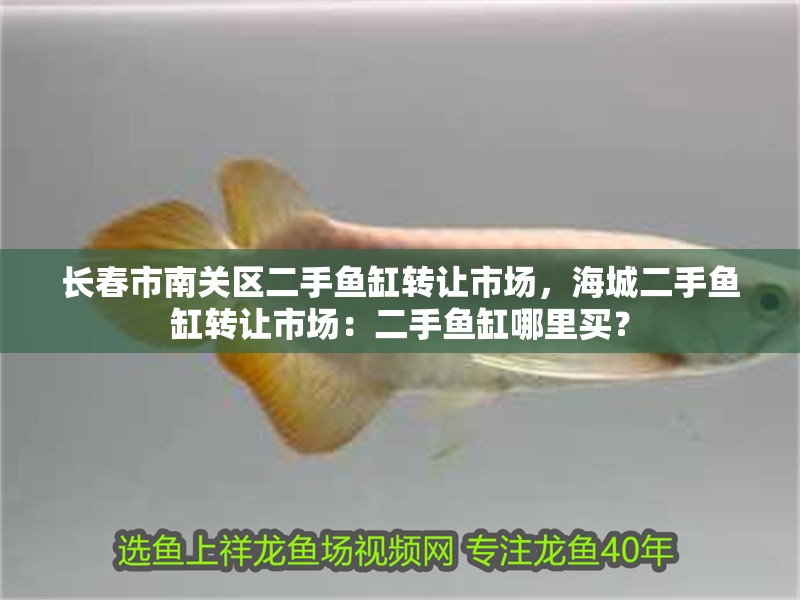 長春市南關區二手魚缸轉讓市場，海城二手魚缸轉讓市場：二手魚缸哪里買？