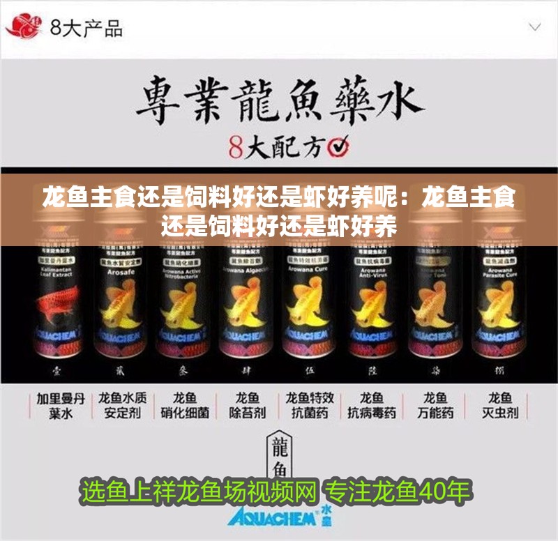 龍魚主食還是飼料好還是蝦好養呢：龍魚主食還是飼料好還是蝦好養