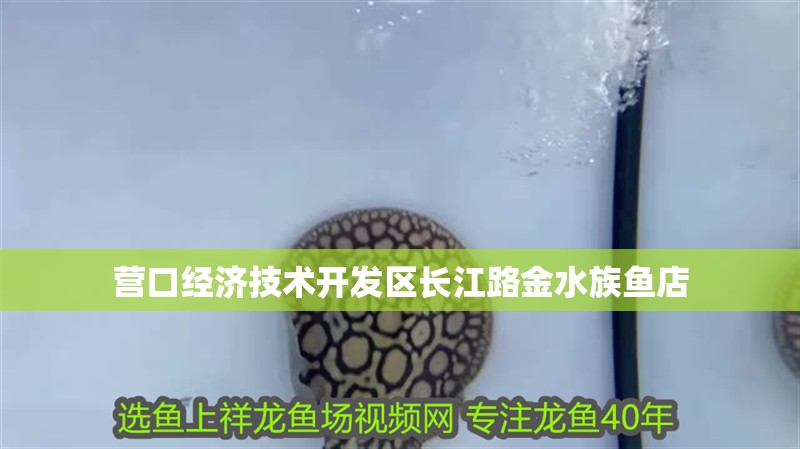 營口經濟技術開發區長江路金水族魚店