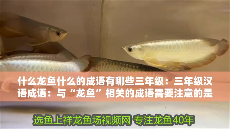 什么龍魚什么的成語有哪些三年級：三年級漢語成語：與“龍魚”相關的成語需要注意的是