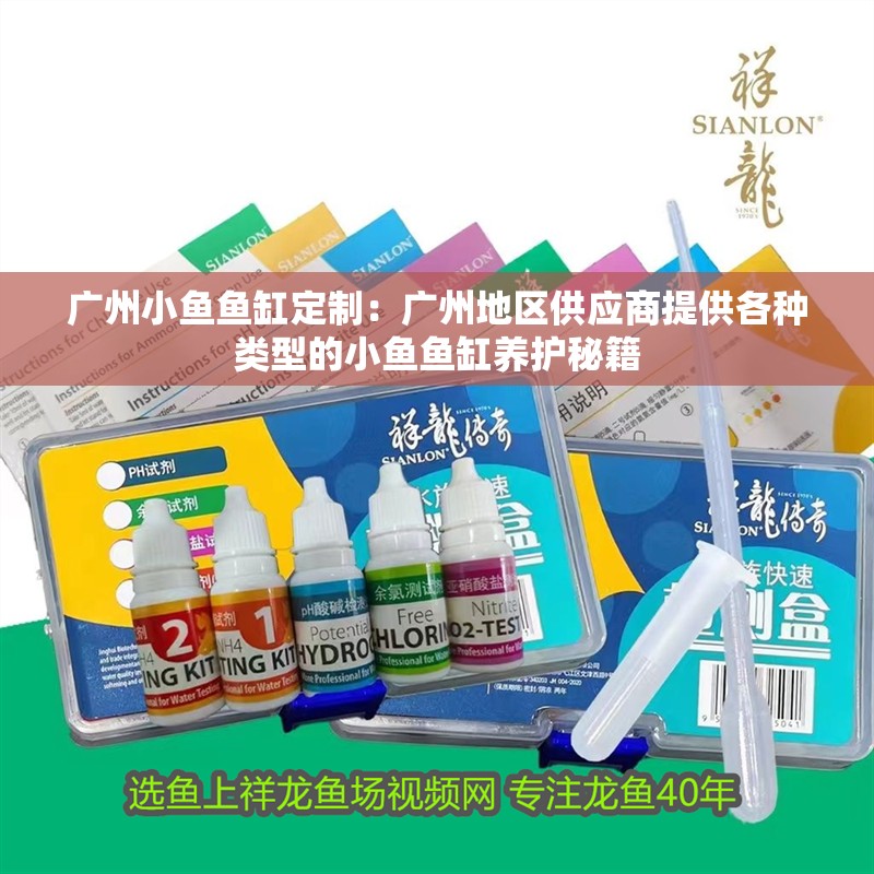 廣州小魚魚缸定制：廣州地區(qū)供應(yīng)商提供各種類型的小魚魚缸養(yǎng)護(hù)秘籍