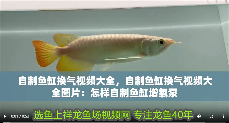 自制魚缸換氣視頻大全，自制魚缸換氣視頻大全圖片：怎樣自制魚缸增氧泵