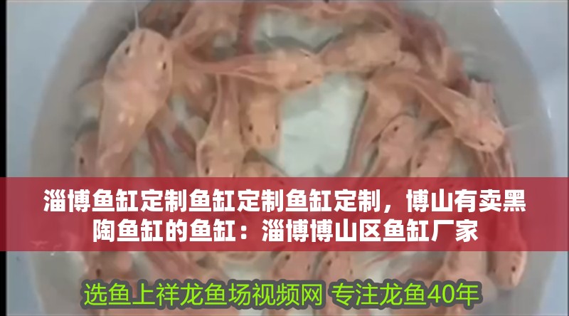 淄博魚缸定制魚缸定制魚缸定制，博山有賣黑陶魚缸的魚缸：淄博博山區魚缸廠家 淄博魚缸定制魚缸定制魚缸定制，博山有賣黑陶魚缸的魚缸：淄博博山區魚缸廠家 魚缸百科