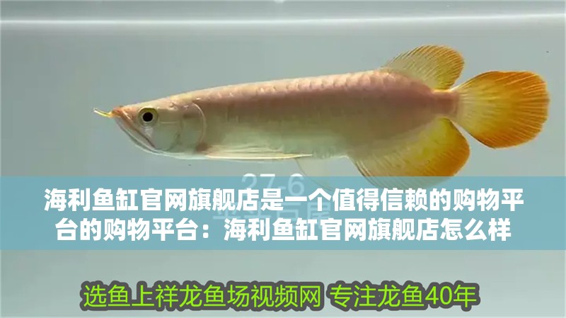海利魚缸官網旗艦店是一個值得信賴的購物平臺的購物平臺：海利魚缸官網旗艦店怎么樣