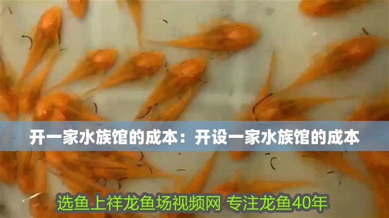 開一家水族館的成本:開設一家水族館的成本 水族館百科(水族館加盟) 第1張 開一家水族館的成本:開設一家水族館的成本 開一家水族館的成本:開設一家水族館的成本 水族館百科(水族館加盟) 第1張