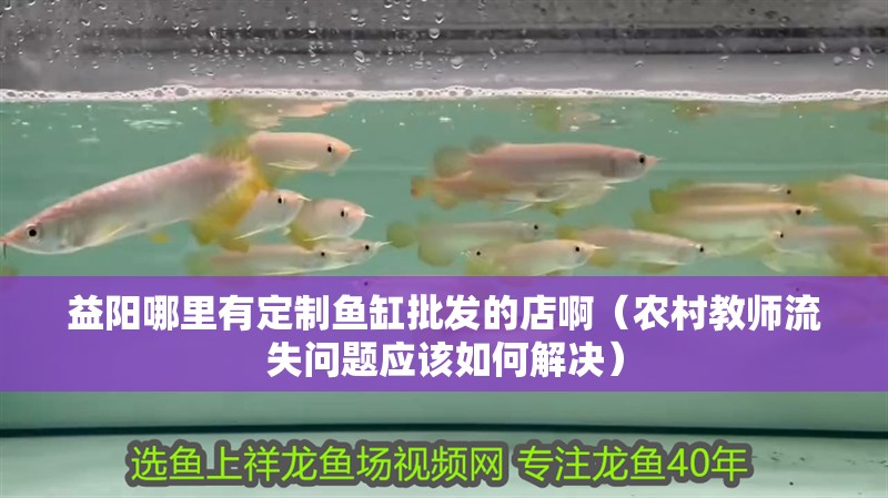 益陽哪里有定制魚缸批發(fā)的店啊（農(nóng)村教師流失問題應(yīng)該如何解決）