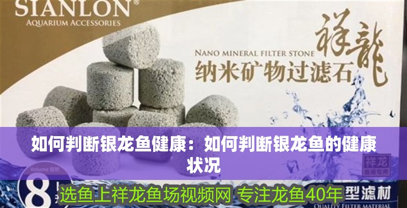 魚缸過濾器選購指南:自制魚缸過濾器魚缸上置過濾器對于養(yǎng)魚愛好者的必備知識 如何判斷銀龍魚健康:如何判斷銀龍魚的健康狀況 龍魚百科 如何判斷銀龍魚健康:如何判斷銀龍魚的健康狀況 如何判斷銀龍魚健康:如何判斷銀龍魚的健康狀況 龍魚百科