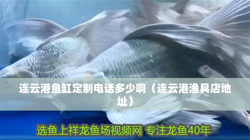 連云港魚(yú)缸定制電話多少?。ㄟB云港漁具店地址）