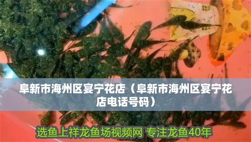 阜<strong><mark>新市</mark></strong>海州區宴寧花店（阜<strong><mark>新市</mark></strong>海州區宴寧花店電話號碼）