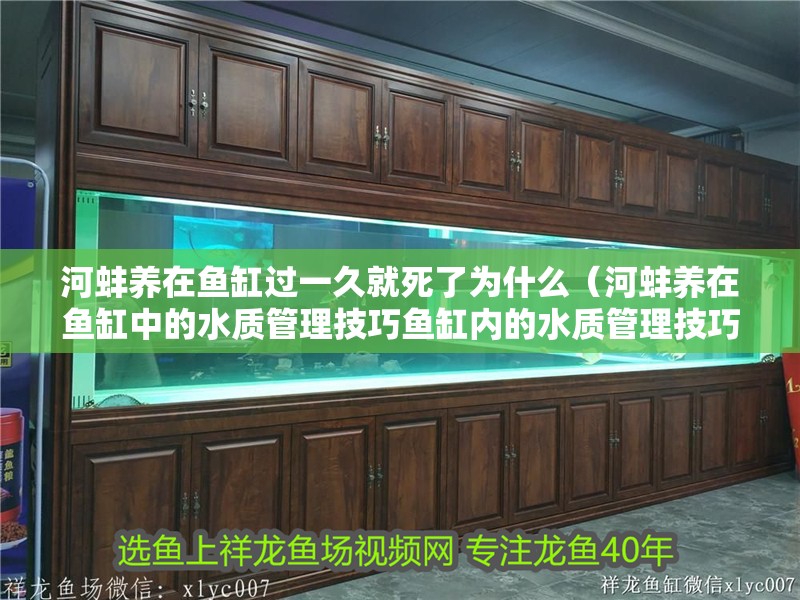 河蚌養在魚缸過一久就死了為什么（河蚌養在魚缸中的水質管理技巧魚缸內的水質管理技巧） 河蚌養在魚缸過一久就死了為什么（河蚌養在魚缸中的水質管理技巧魚缸內的水質管理技巧） 魚缸百科
